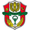 Logo Desa Paselloreng